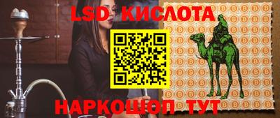 2c-b Кингисепп